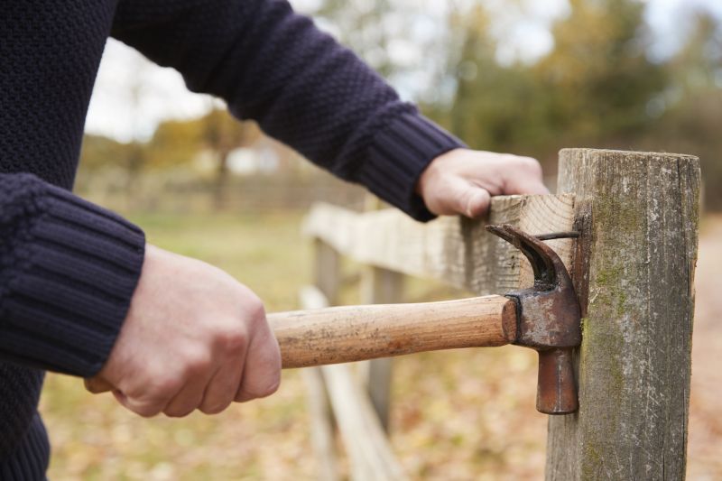 Wood Fence Removal