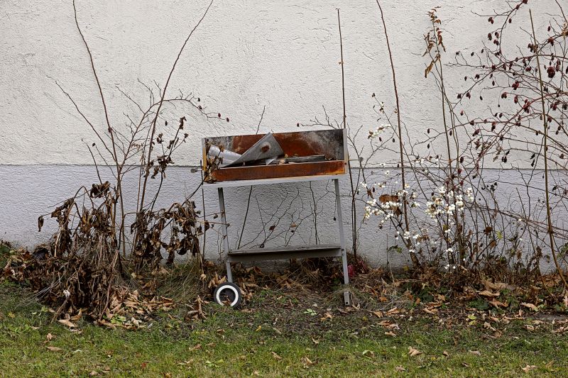 Bbq Removal in Madison, WI